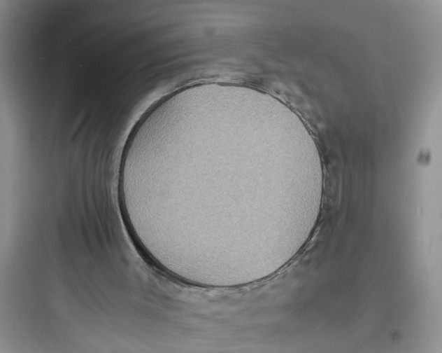 X0000097620003200803211756