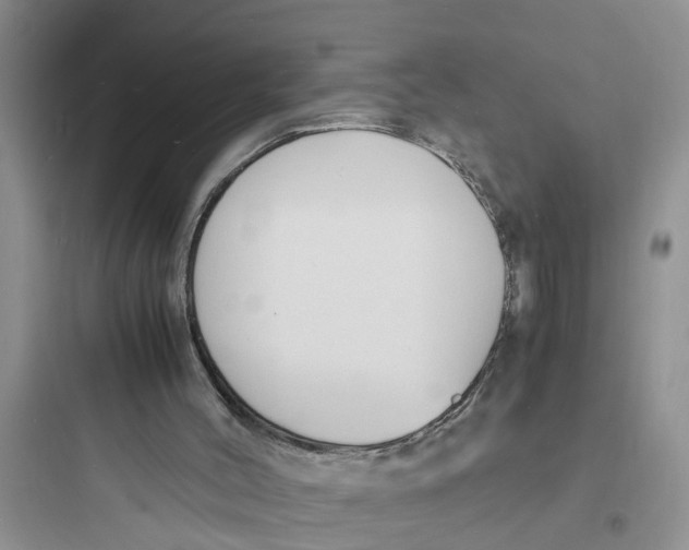 X0000097620004200803211756