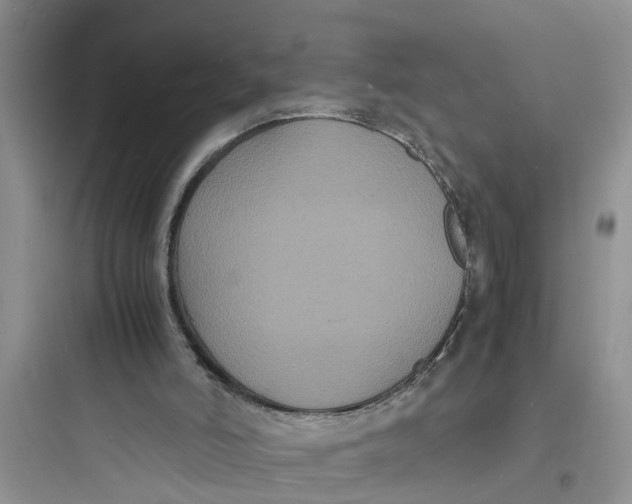 X0000097620006200803211756