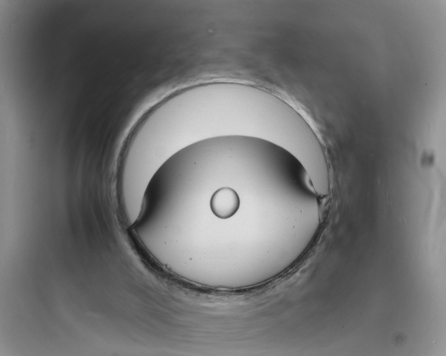 X0000097620008200803211756