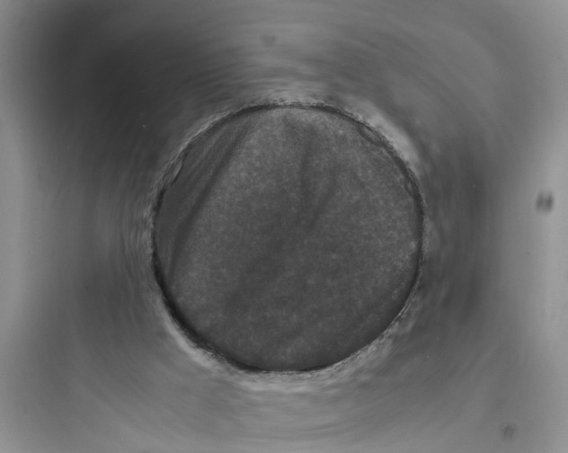 X0000097620009200803211756
