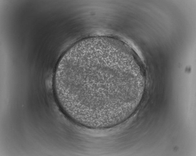 X0000097620010200803211756