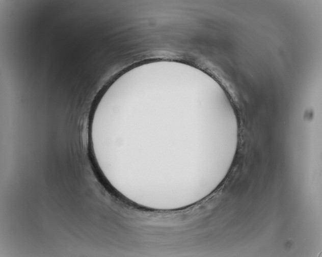 X0000097620011200803211756