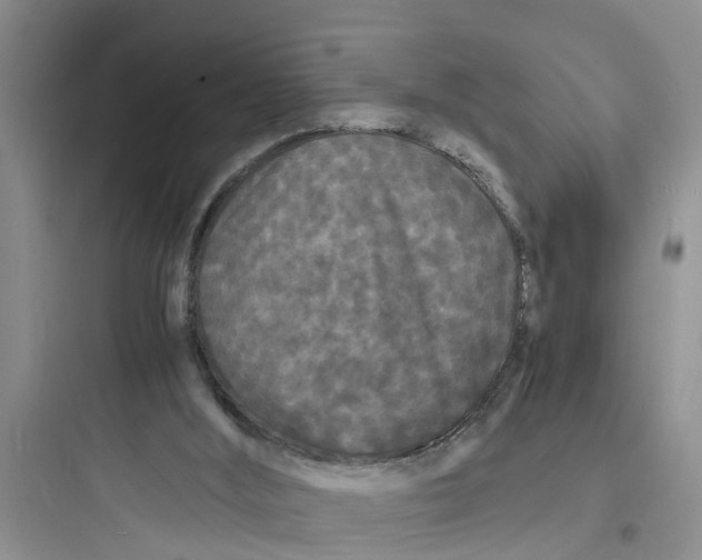 X0000097620012200803211756