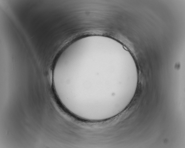 X0000097620013200803211756