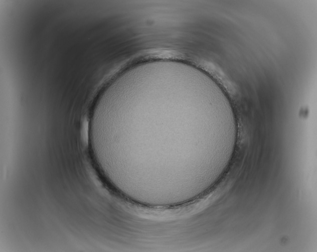 X0000097620014200803211756