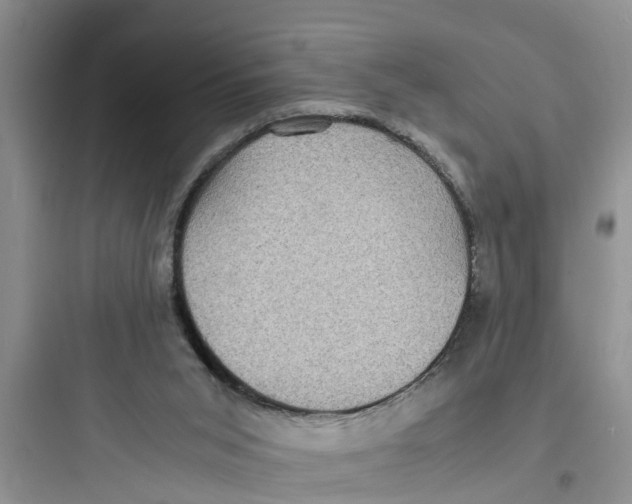 X0000097620015200803211756