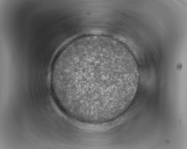 X0000097620016200803211756