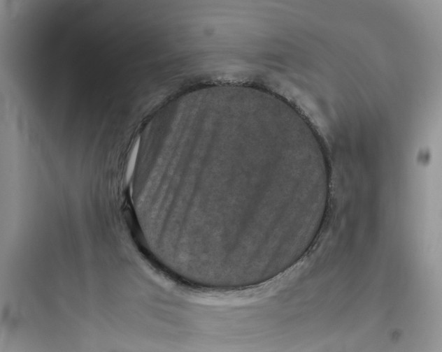 X0000097620017200803211756