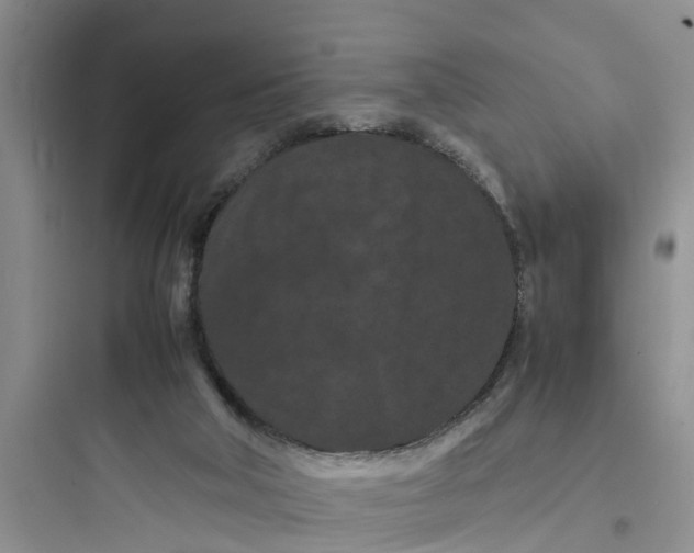 X0000097620018200803211756