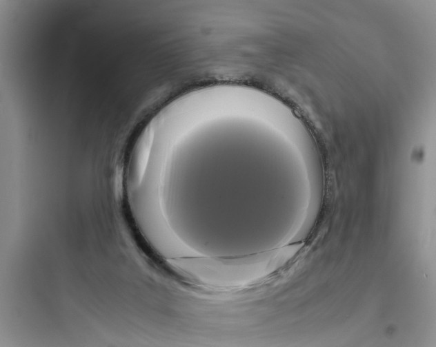 X0000097620019200803211756