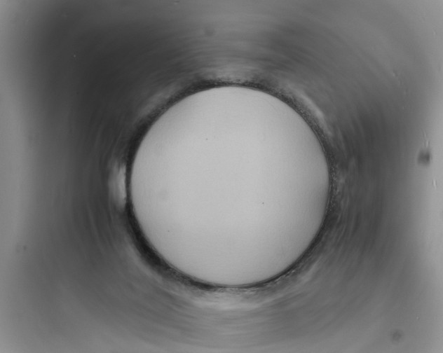 X0000097620020200803211756