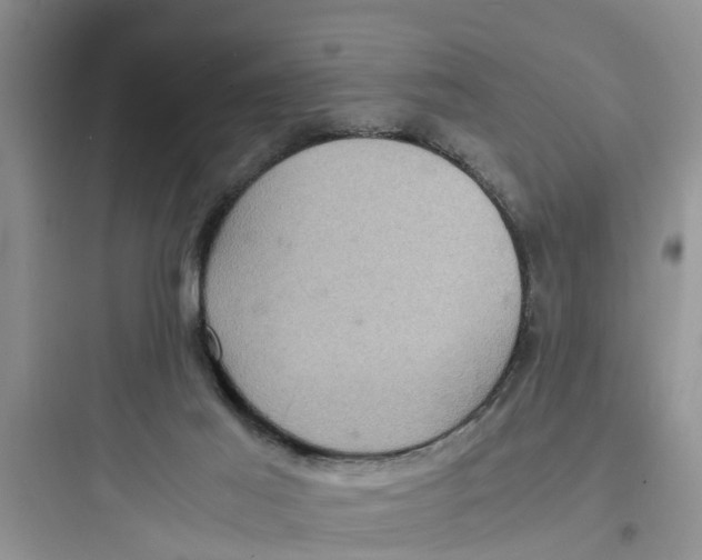 X0000097620021200803211756