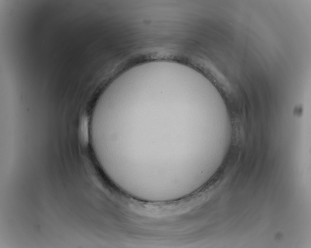 X0000097620022200803211756
