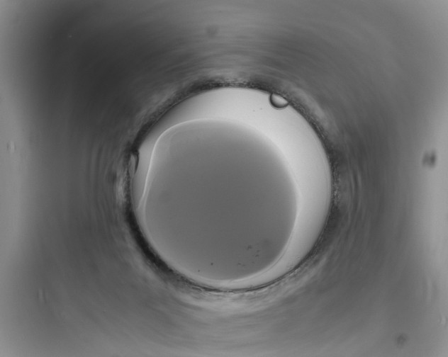 X0000097620023200803211756