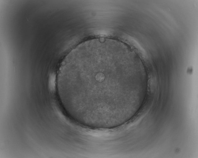 X0000097620024200803211756