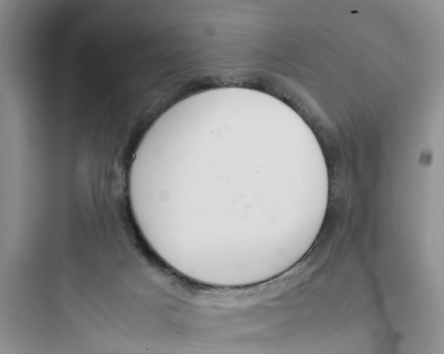 X0000097620025200803211756