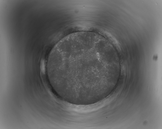 X0000097620026200803211756