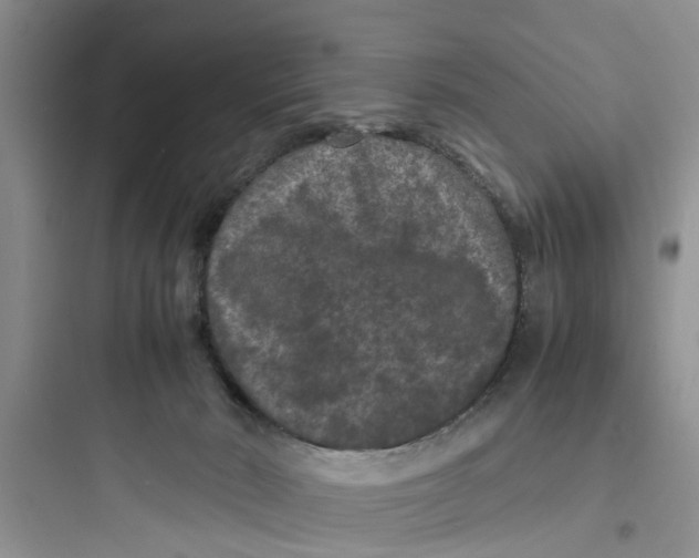 X0000097620030200803211756