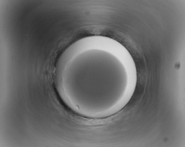 X0000097620031200803211756