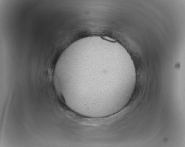 X0000097620033200803211756