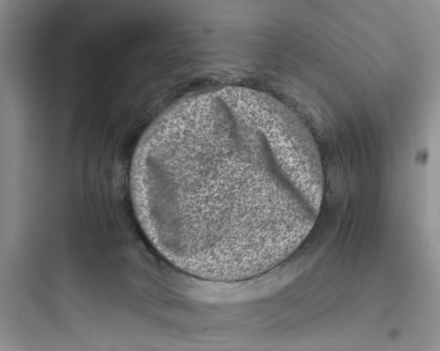 X0000097620034200803211756
