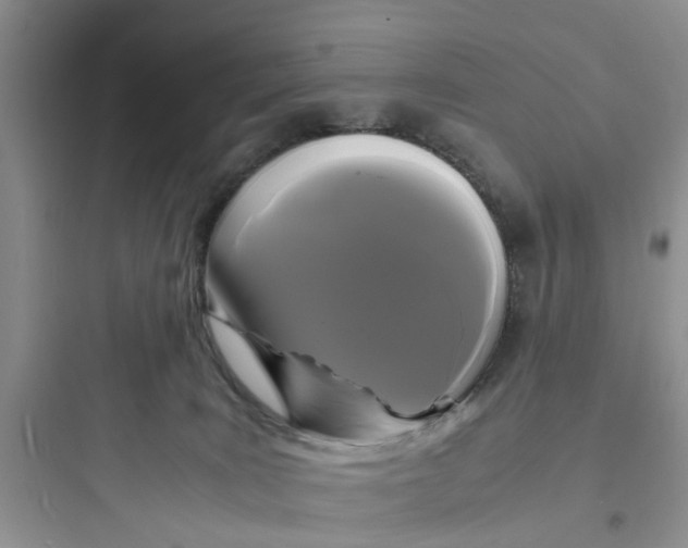 X0000097620035200803211756
