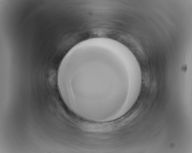 X0000097620036200803211756
