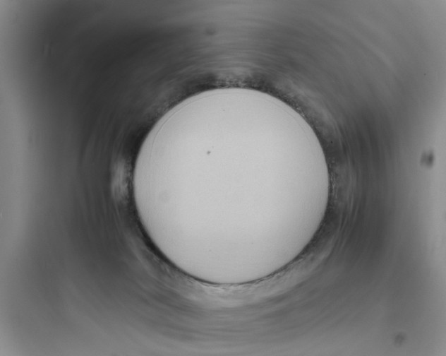 X0000097620038200803211756