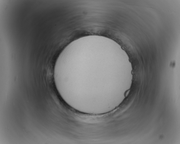 X0000097620040200803211756