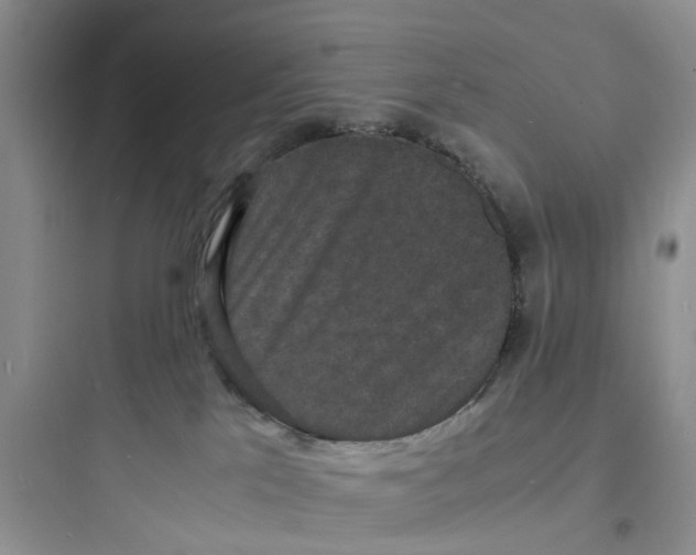 X0000097620041200803211756