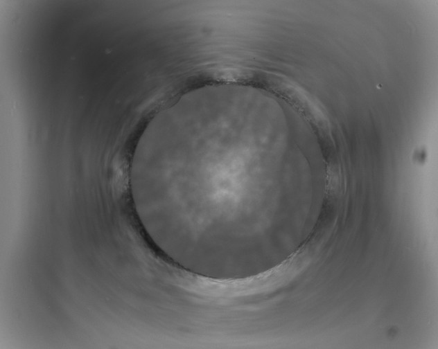 X0000097620043200803211756