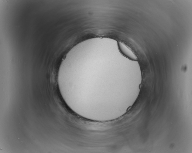X0000097620044200803211756