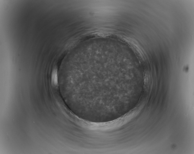X0000097620046200803211756