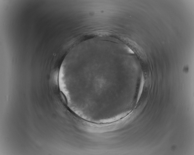 X0000097620047200803211756