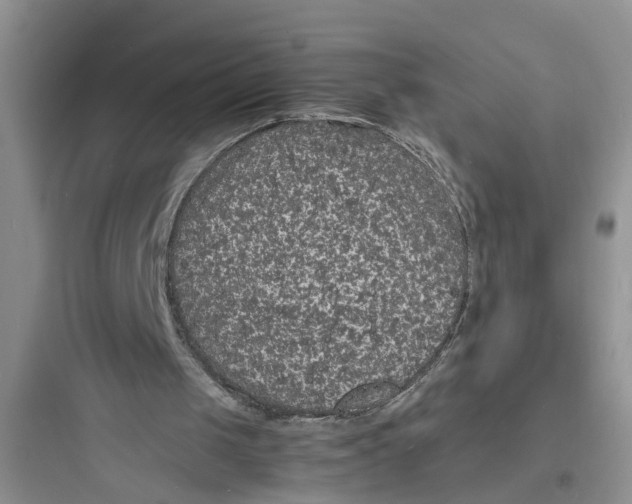X0000097620049200803211755