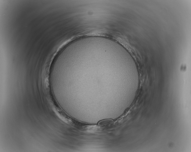 X0000097620050200803211755