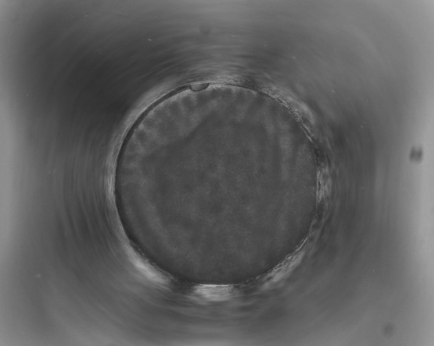 X0000097620051200803211755