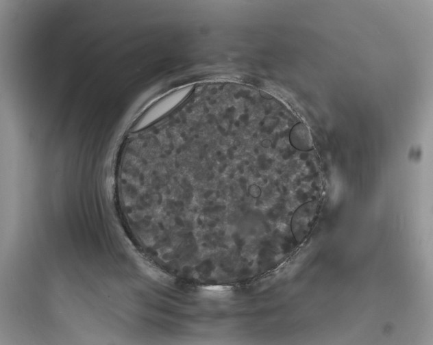 X0000097620053200803211755