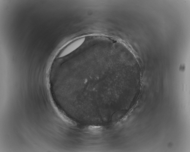 X0000097620055200803211755