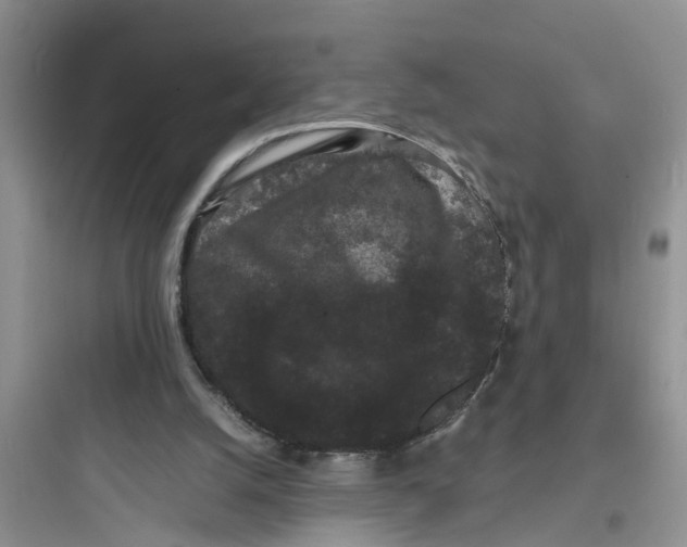 X0000097620056200803211755