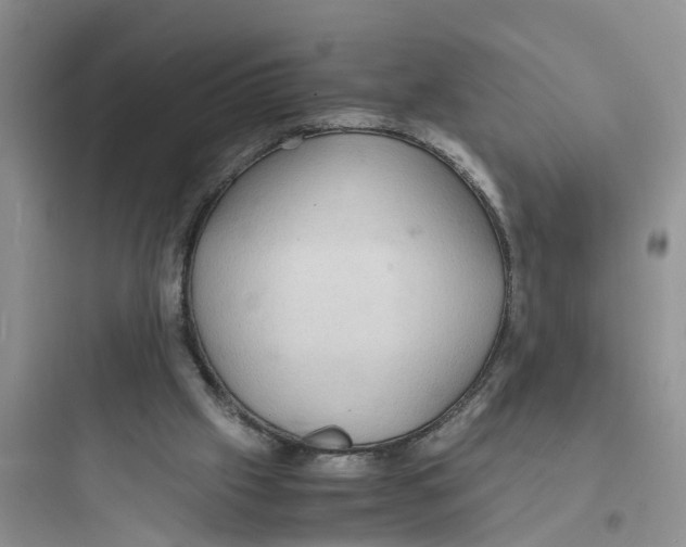 X0000097620057200803211755