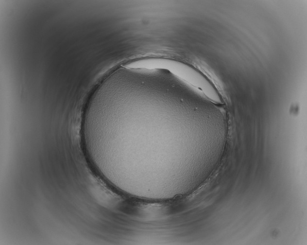 X0000097620058200803211755