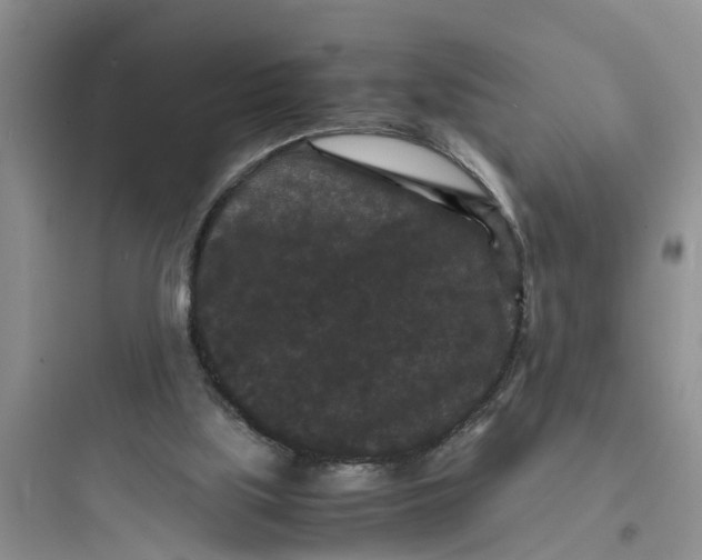 X0000097620059200803211755