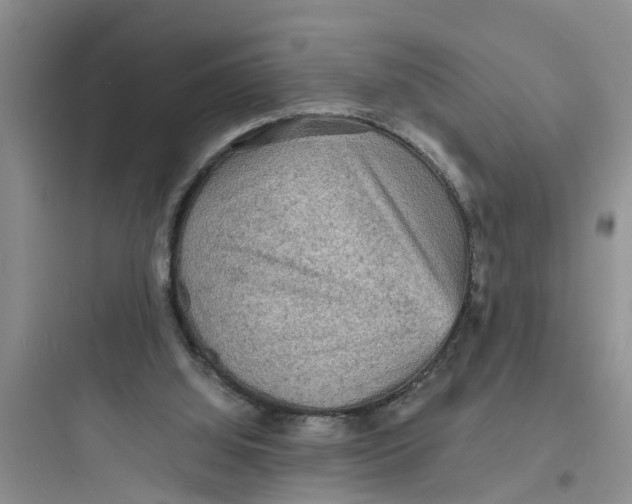 X0000097620060200803211755