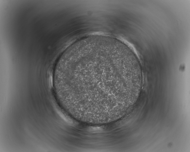 X0000097620061200803211755