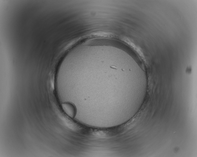 X0000097620062200803211755