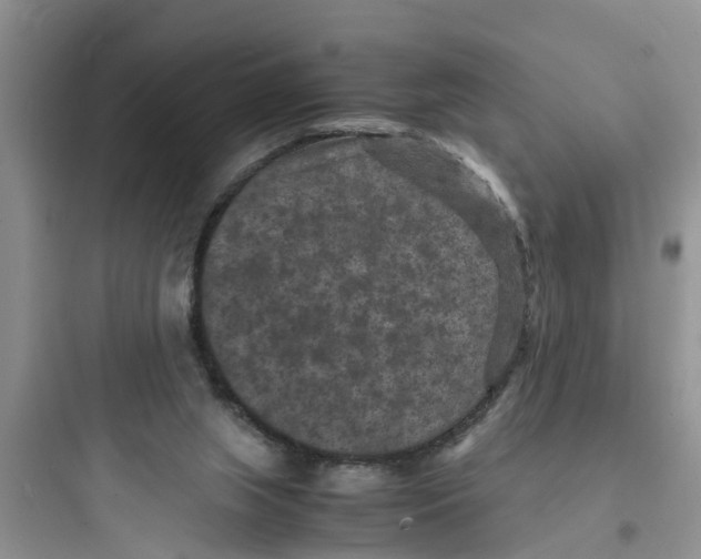 X0000097620063200803211755