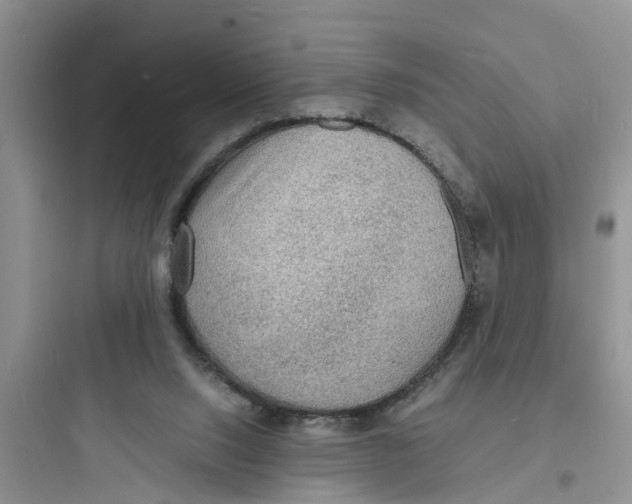 X0000097620064200803211755