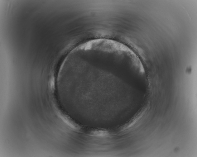 X0000097620067200803211755